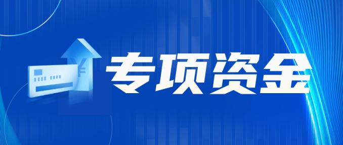 专项资金